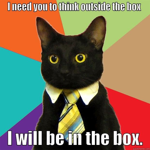 I NEED YOU TO THINK OUTSIDE THE BOX    I WILL BE IN THE BOX.  Business Cat