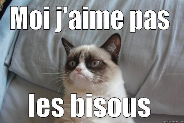 MOI J'AIME PAS LES BISOUS Grumpy Cat