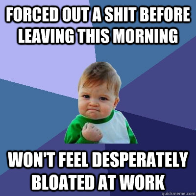 Forced out a shit before leaving this morning won't feel desperately bloated at work  Success Kid