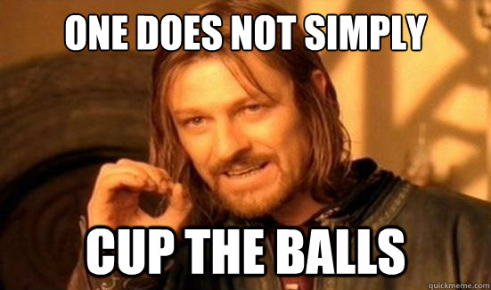 One Does Not Simply CUP THE BALLS  Boromir