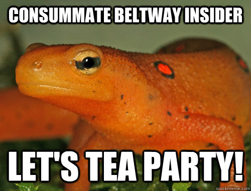 Consummate beltway insider LET S TEA PARTY Scumbag Newt quickmeme
