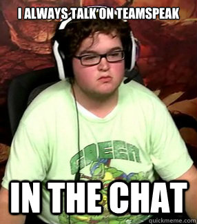 I always talk on TeamSpeak IN THE CHAT  Meme