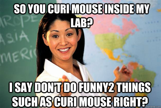 So you curi mouse inside my lab? I say don't do funny2 things such as curi mouse right?   Unhelpful High School Teacher