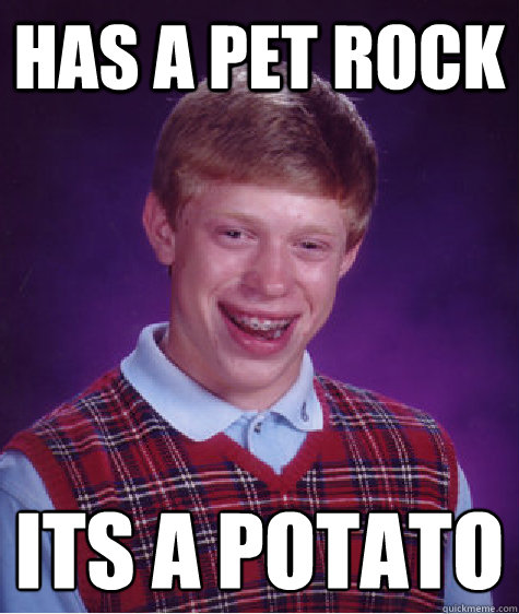 Has a Pet rock its a potato   Bad Luck Brian