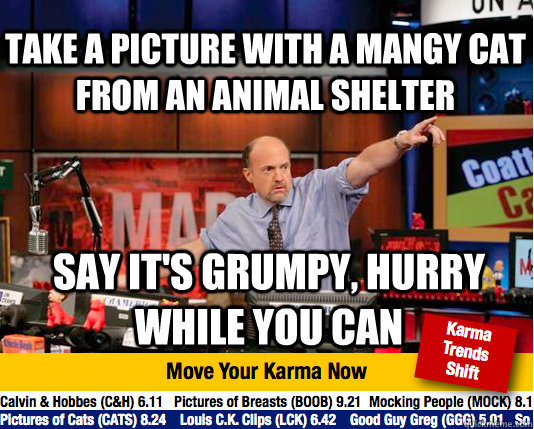 Take a picture with a mangy cat from an animal shelter Say it's grumpy, hurry while you can - Take a picture with a mangy cat from an animal shelter Say it's grumpy, hurry while you can  Mad Karma with Jim Cramer