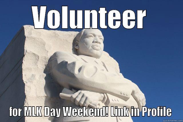 VOLUNTEER FOR MLK DAY WEEKEND! LINK IN PROFILE Misc