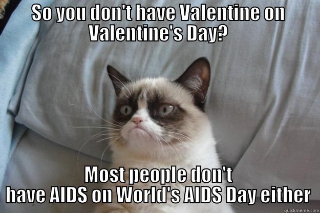 SO YOU DON'T HAVE VALENTINE ON VALENTINE'S DAY? MOST PEOPLE DON'T HAVE AIDS ON WORLD'S AIDS DAY EITHER Grumpy Cat