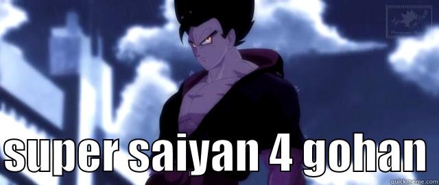   SUPER SAIYAN 4 GOHAN Misc