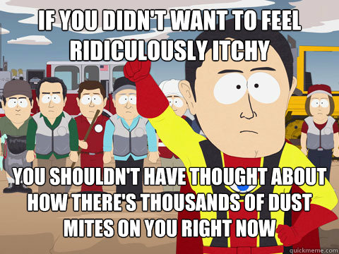 if you didn't want to feel ridiculously itchy  you shouldn't have thought about how there's thousands of dust mites on you right now  Captain Hindsight