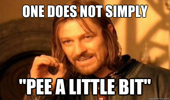 One Does Not Simply 