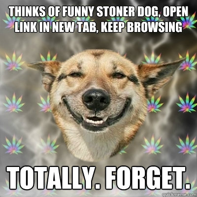 Thinks of funny stoner dog, open link in new tab, keep browsing Totally. Forget.  Stoner Dog