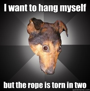 I want to hang myself but the rope is torn in two  Depression Dog