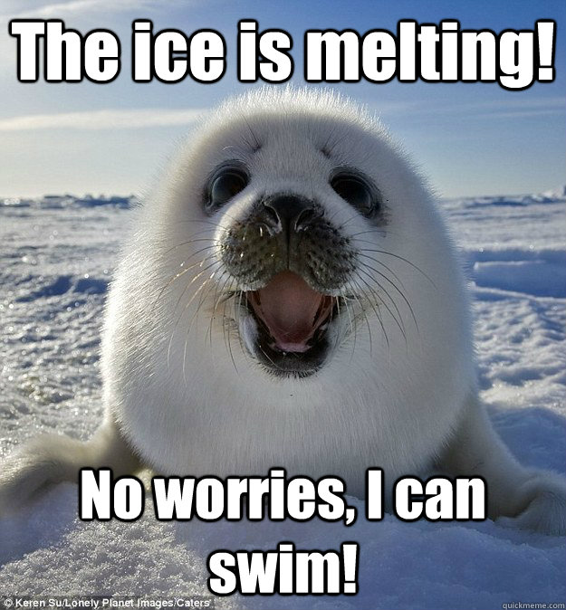 The ice is melting! No worries, I can swim! - The ice is melting! No worries, I can swim!  Easily Pleased Seal