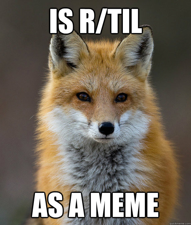 is r/TIL AS A MEME   Fun Fact Fox