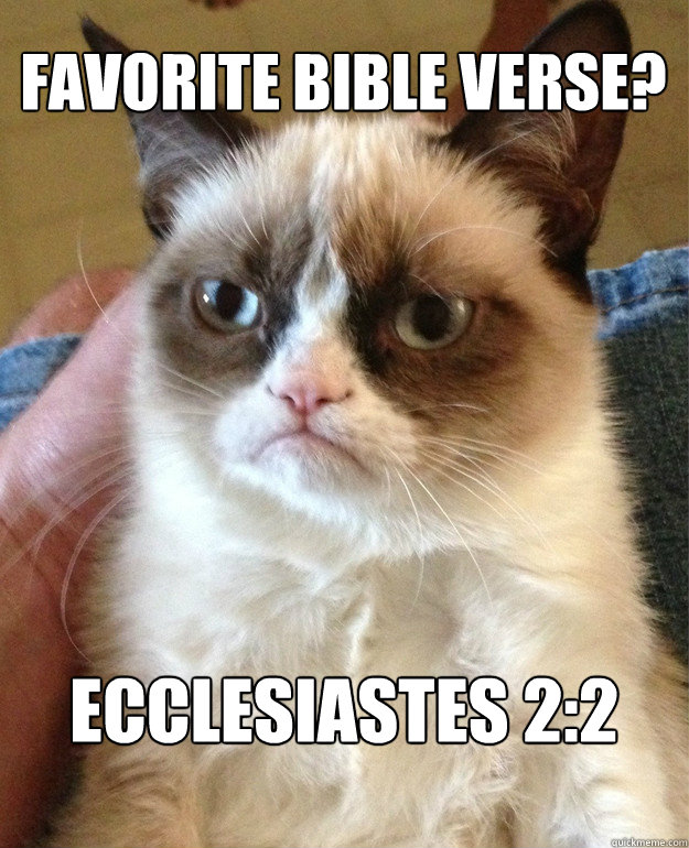 Favorite Bible verse? Ecclesiastes 2:2  Grumpy Cat