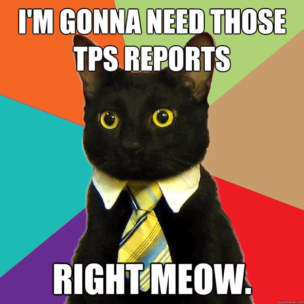 I'm gonna need those TPS reports right meow.  Business Cat