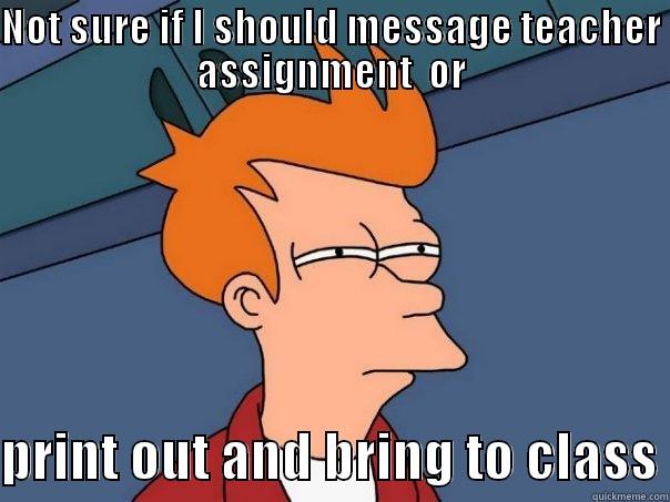 NOT SURE IF I SHOULD MESSAGE TEACHER ASSIGNMENT  OR  PRINT OUT AND BRING TO CLASS Futurama Fry