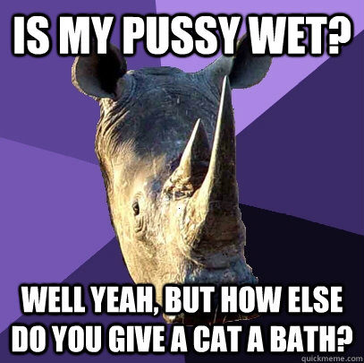 is my pussy wet? well yeah, but how else do you give a cat a bath?  Sexually Oblivious Rhino