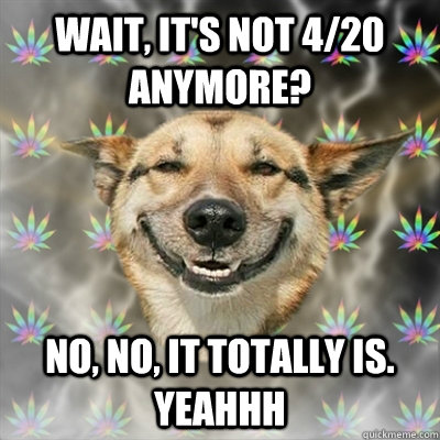 wait, it's not 4/20 anymore? no, no, it totally is. yeahhh  Stoner Dog