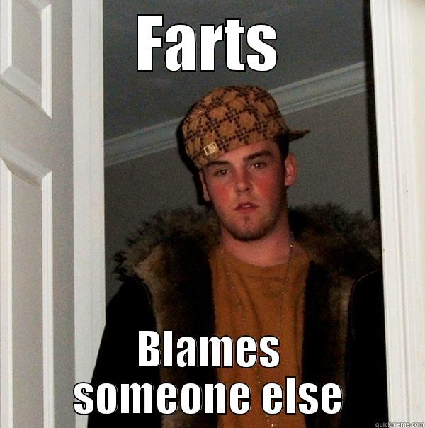 Scummy Bag - FARTS BLAMES SOMEONE ELSE Scumbag Steve