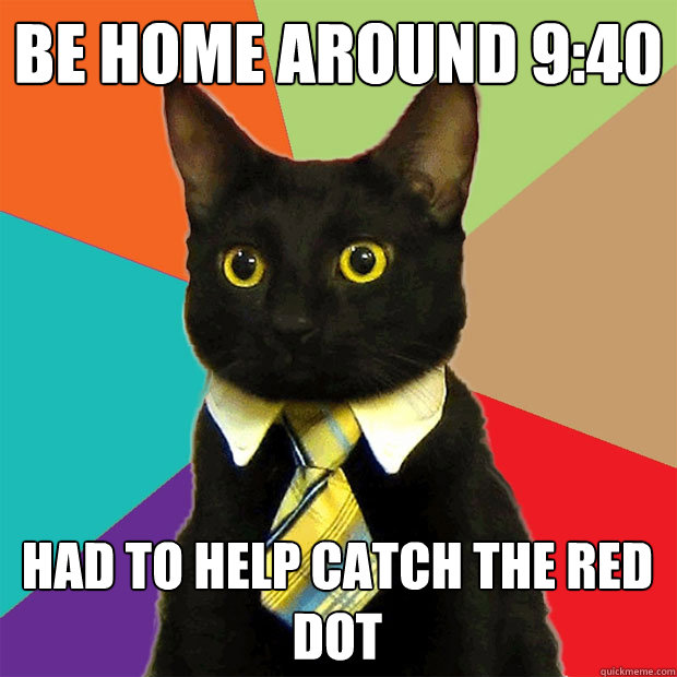 be home around 9:40 had to help catch the red dot  Business Cat