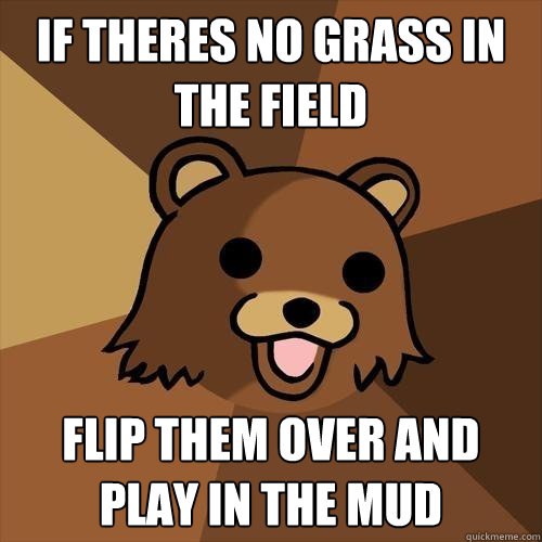 If theres no grass in the field Flip them over and play in the mud - If theres no grass in the field Flip them over and play in the mud  Pedobear