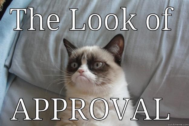 THE LOOK OF APPROVAL Grumpy Cat