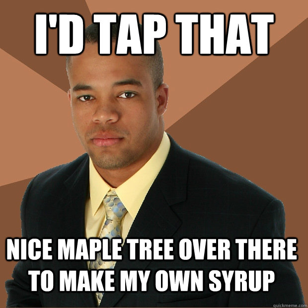 i'd tap that nice maple tree over there to make my own syrup - i'd tap that nice maple tree over there to make my own syrup  Successful Black Man