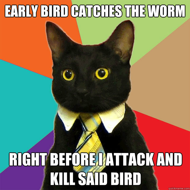 Early bird catches the worm  Right before I attack and kill said bird  Business Cat