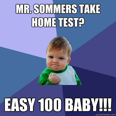 mr. sommers take home test? easy 100 baby!!!  Success Kid