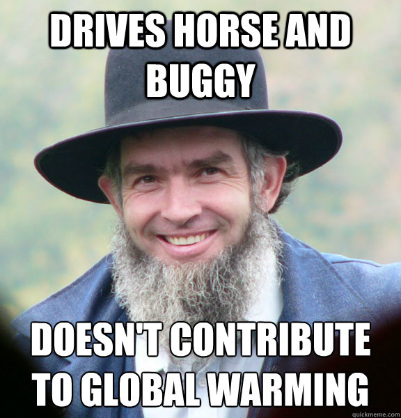 Drives horse and buggy doesn't contribute to global warming  Good Guy Amish