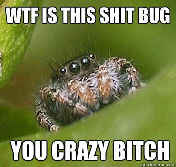 wtf is this shit bug   you crazy bitch - wtf is this shit bug   you crazy bitch  Misunderstood Spider