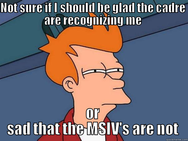 ROTC Problems... - NOT SURE IF I SHOULD BE GLAD THE CADRE ARE RECOGNIZING ME OR SAD THAT THE MSIV'S ARE NOT Futurama Fry