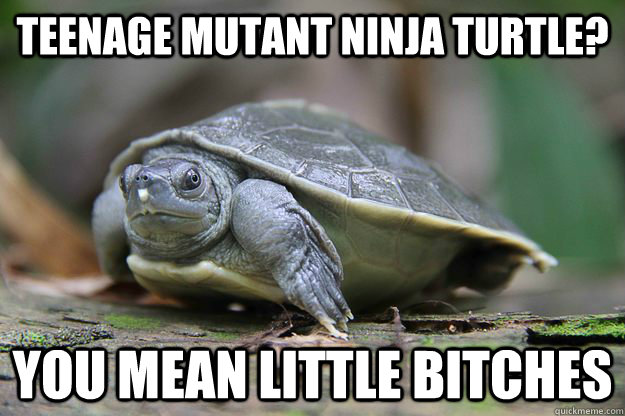 teenage mutant ninja turtle? you mean little bitches  Overly Manly Turtle