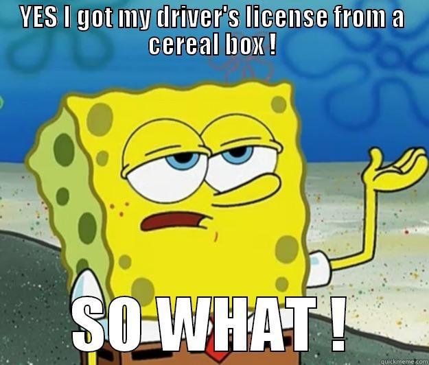 YES I GOT MY DRIVER'S LICENSE FROM A CEREAL BOX ! SO WHAT ! Tough Spongebob