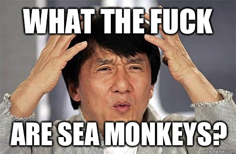 What the fuck Are sea monkeys?  EPIC JACKIE CHAN