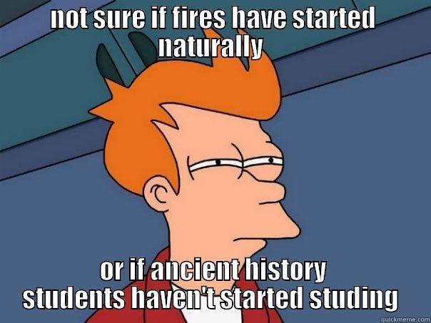 NOT SURE IF FIRES HAVE STARTED NATURALLY  OR IF ANCIENT HISTORY STUDENTS HAVEN'T STARTED STUDYING  Futurama Fry