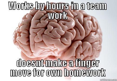 WORKS BY HOURS IN A TEAM WORK DOESNT MAKE A FINGER MOVE FOR OWN HOMEWORK Scumbag Brain