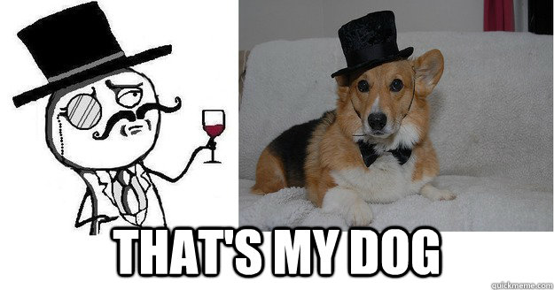  That's my dog  Dapper