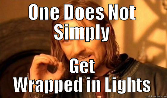 ONE DOES NOT SIMPLY GET WRAPPED IN LIGHTS Boromir