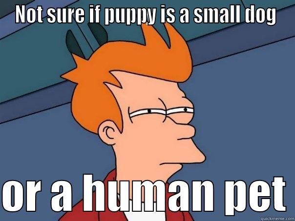 NOT SURE IF PUPPY IS A SMALL DOG  OR A HUMAN PET Futurama Fry