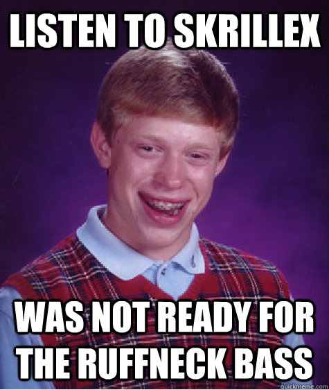 listen to skrillex was not ready for the ruffneck bass  Bad Luck Brian