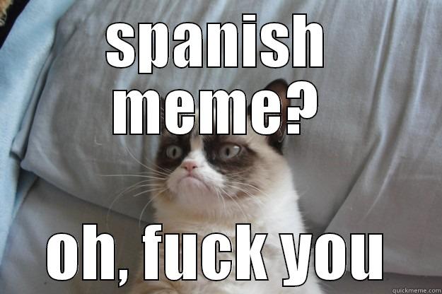 SPANISH MEME? OH, FUCK YOU Grumpy Cat