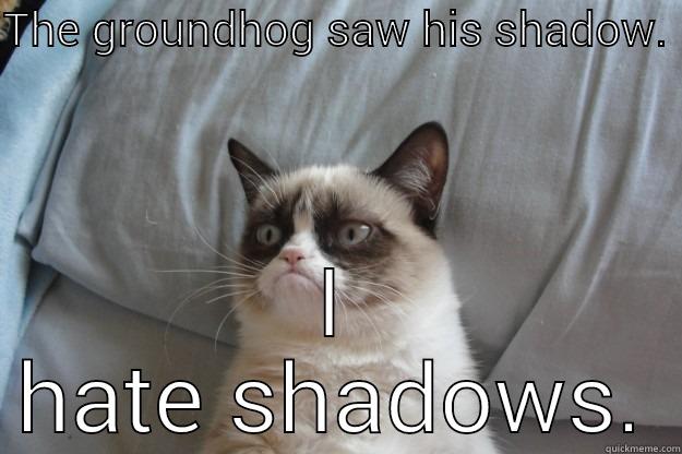 THE GROUNDHOG SAW HIS SHADOW.  I HATE SHADOWS. Grumpy Cat