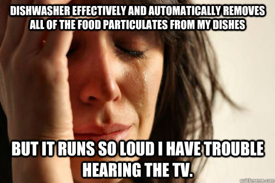 Dishwasher effectively and automatically removes all of the food particulates from my dishes But it runs so loud I have trouble hearing the TV.  First World Problems