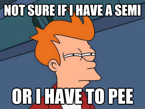 Not sure if I have a semi Or I have to pee  Futurama Fry