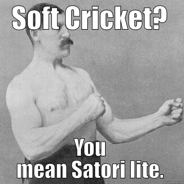 SOFT CRICKET? YOU MEAN SATORI LITE. overly manly man