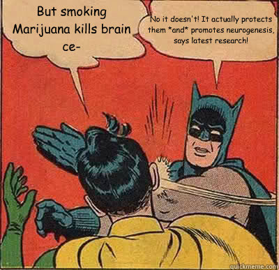 But smoking Marijuana kills brain ce- No it doesn't! It actually protects them *and* promotes neurogenesis, says latest research!  Batman Slapping Robin