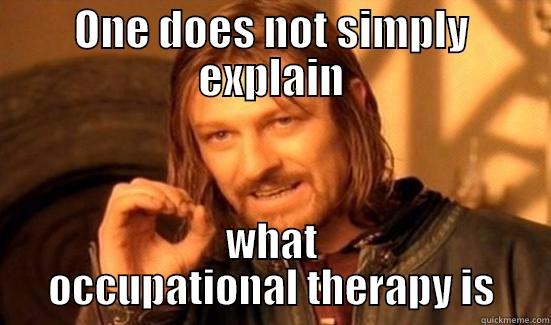 Occupational Therapy - ONE DOES NOT SIMPLY EXPLAIN WHAT OCCUPATIONAL THERAPY IS Boromir