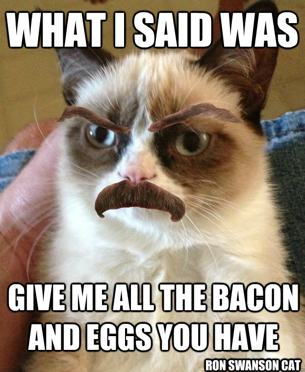 what i said was give me all the bacon and eggs you have Ron Swanson Cat  